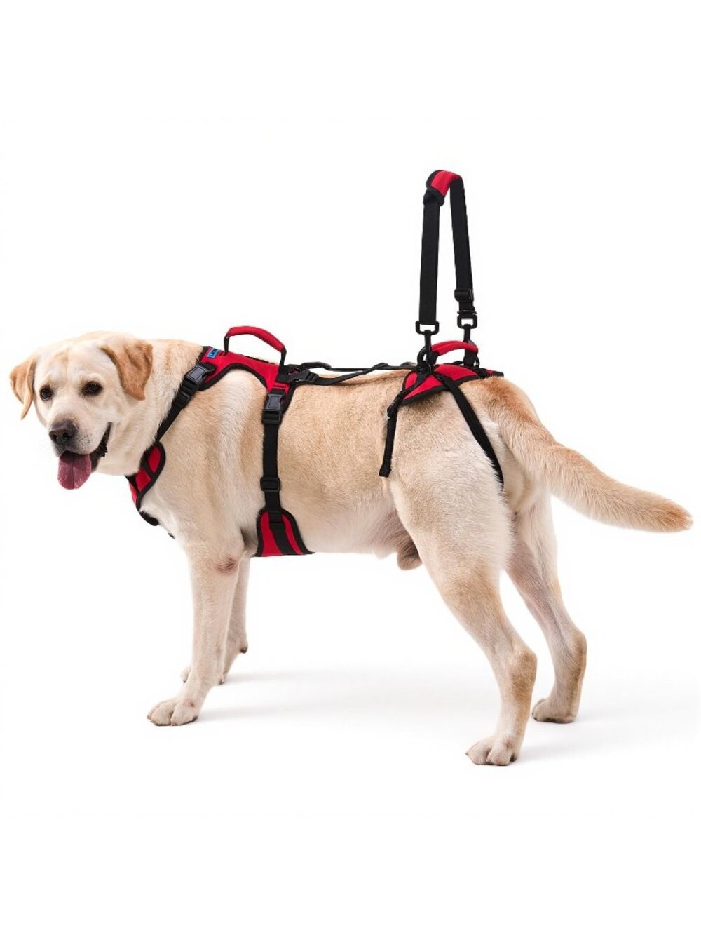 Lafoty Dog Lifting Harness Medium Dogs, Dual Handle Dog Support Walking Assistan